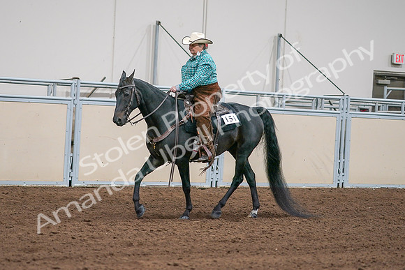 2020 - AB Morgan Horse - Sun, Sept 06 - 01580