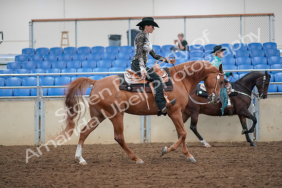 2019 Morgan Horse Show - Aug 30, 2019 - 16980