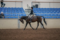 2019 Morgan Horse Show - Aug 31, 2019 - 06318