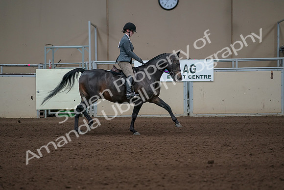 2019 Morgan Horse Show - Sept 01, 2019 - 11057