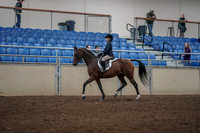 2019 Morgan Horse Show - Aug 31, 2019 - 05552