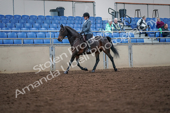 2019 Morgan Horse Show - Aug 30, 2019 - 18309