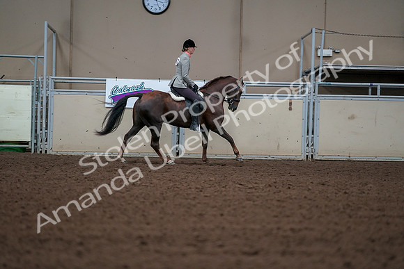 2019 Morgan Horse Show - Aug 30, 2019 - 18578