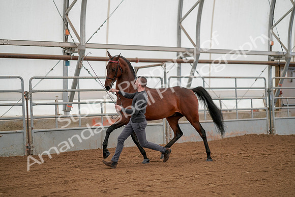 July 19, 2019 - 1174
