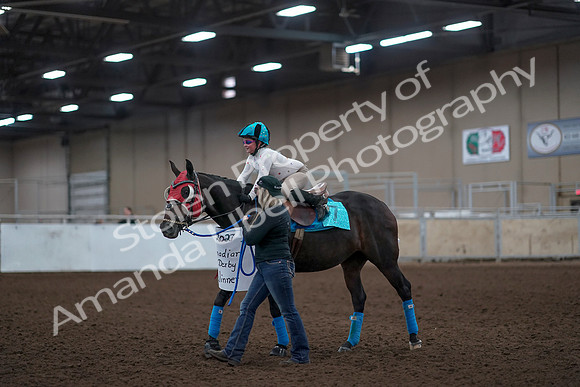 2019 Morgan Horse Show - Aug 31, 2019 - 10108