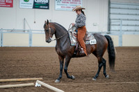 2020 - AB Morgan Horse - Fri, Sept 04 - 00053