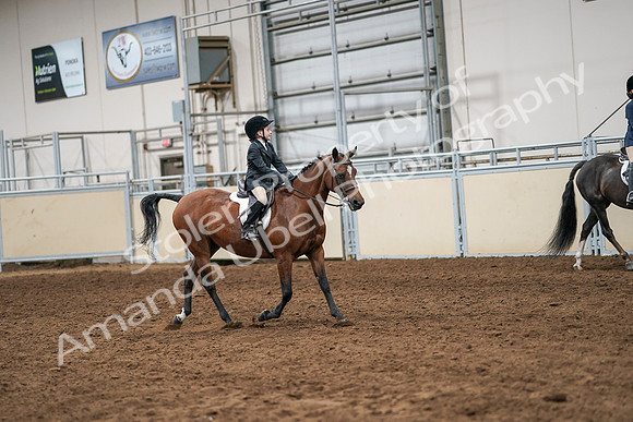 2020 - AB Morgan Horse - Sun, Sept 06 - 07990