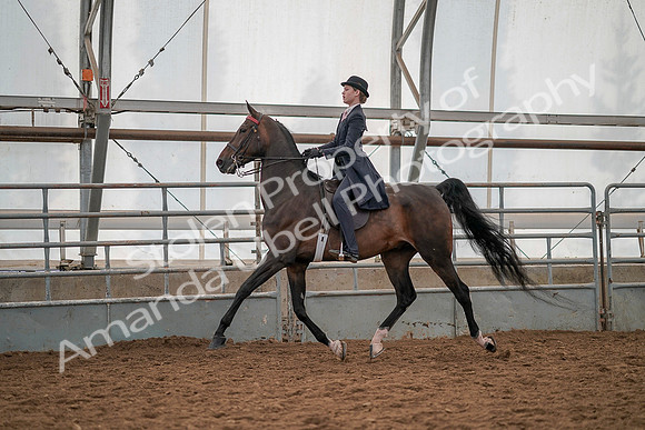 July 19, 2019 - 12905