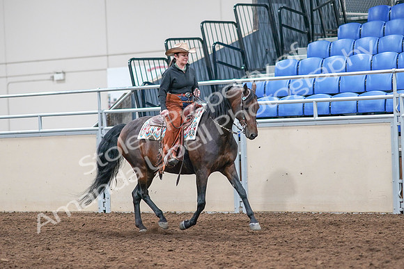2020 - AB Morgan Horse - Sun, Sept 06 - 01644