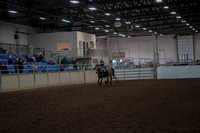 2019 Morgan Horse Show - Aug 31, 2019 - 01481