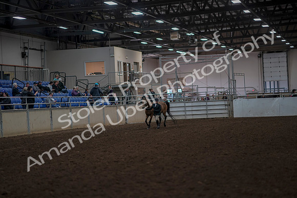 2019 Morgan Horse Show - Aug 31, 2019 - 01481
