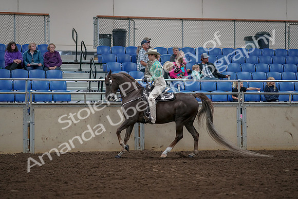 2019 Morgan Horse Show - Aug 30, 2019 - 26069