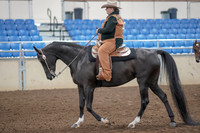 2019 Morgan Horse Show - Aug 31, 2019 - 06025