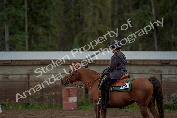 2019 Morgan Horse Show - Aug 30, 2019 - 00158