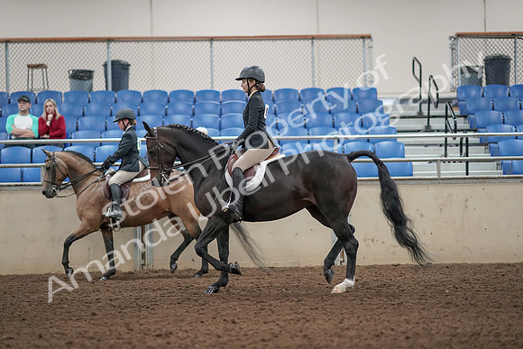 2019 Morgan Horse Show - Aug 31, 2019 - 04856