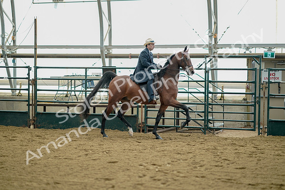 July 21, 2019 - 01720