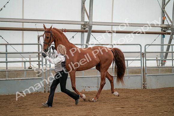 July 19, 2019 - 1345
