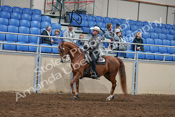 2020 - AB Morgan Horse - Sun, Sept 06 - 07502