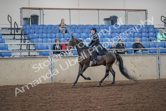 2019 Morgan Horse Show - Aug 30, 2019 - 15616