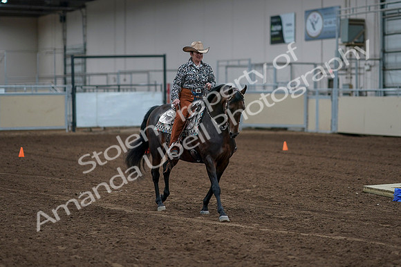 2020 - AB Morgan Horse - Fri, Sept 04 - 00042