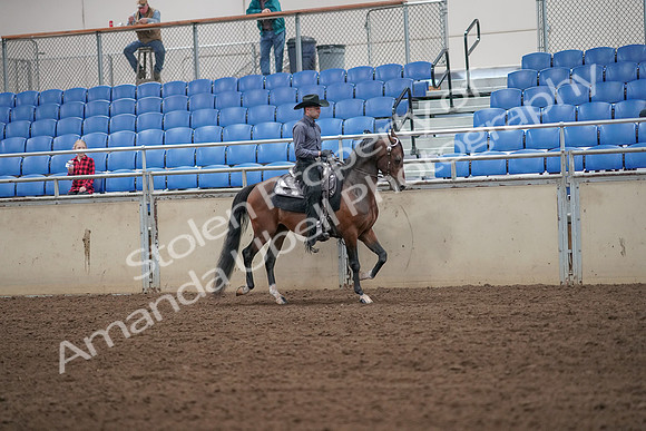 2019 Morgan Horse Show - Aug 31, 2019 - 06221