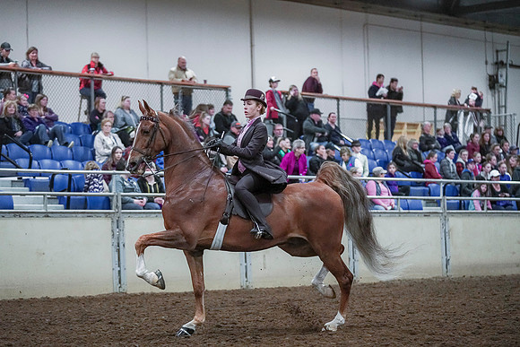 Spring Fling - Saturday - April 20, 2019  -  00421