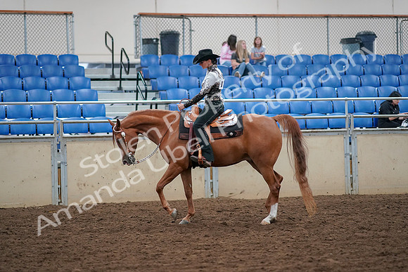 2019 Morgan Horse Show - Aug 30, 2019 - 16727