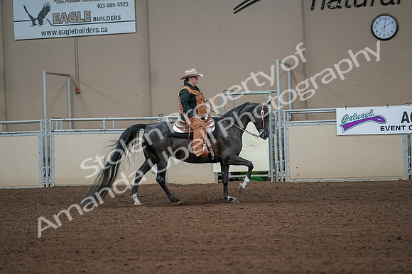 2019 Morgan Horse Show - Aug 31, 2019 - 06162