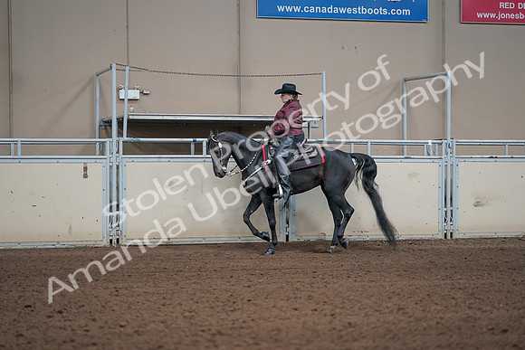 2019 Morgan Horse Show - Aug 31, 2019 - 10601