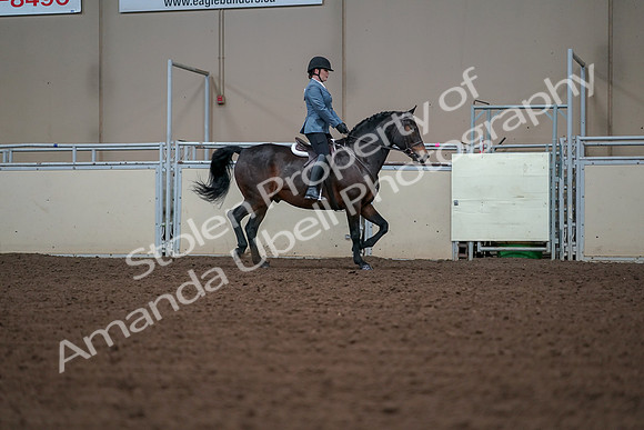 2019 Morgan Horse Show - Aug 30, 2019 - 18510