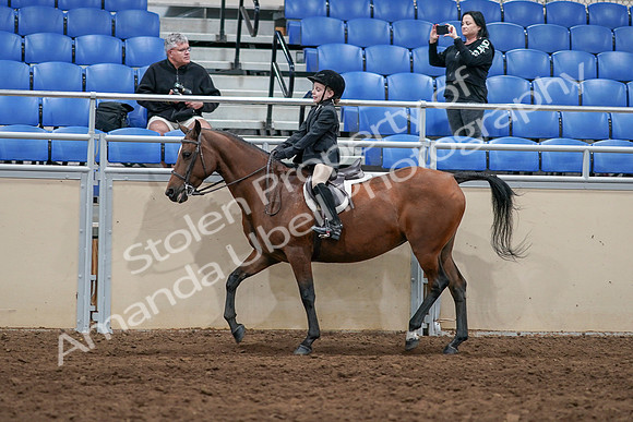 2020 - AB Morgan Horse - Sun, Sept 06 - 07723
