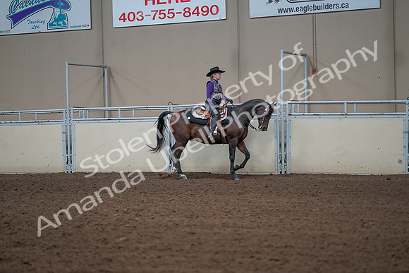 2019 Morgan Horse Show - Aug 31, 2019 - 10730
