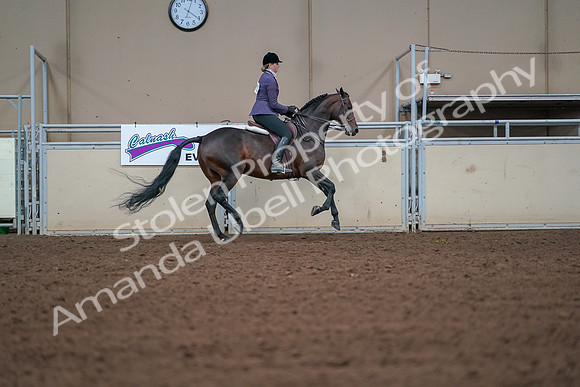 2019 Morgan Horse Show - Aug 30, 2019 - 20965