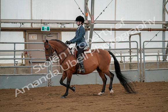 July 19, 2019 - 2353