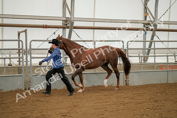 July 19, 2019 - 1274