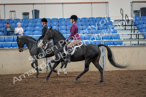2019 Morgan Horse Show - Aug 30, 2019 - 23433