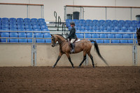 2019 Morgan Horse Show - Aug 31, 2019 - 04838