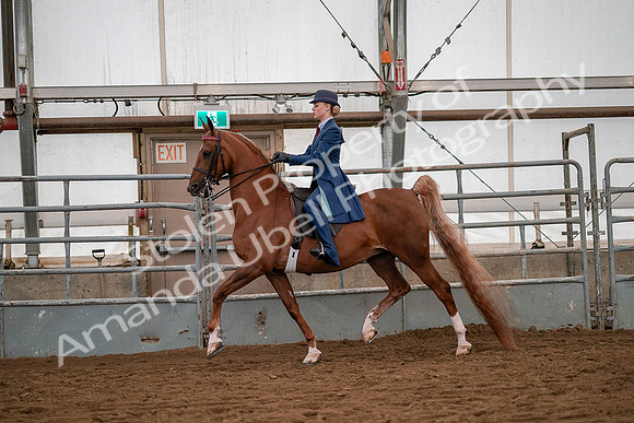 July 19, 2019 - 10243
