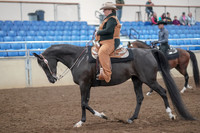 2019 Morgan Horse Show - Aug 31, 2019 - 06014