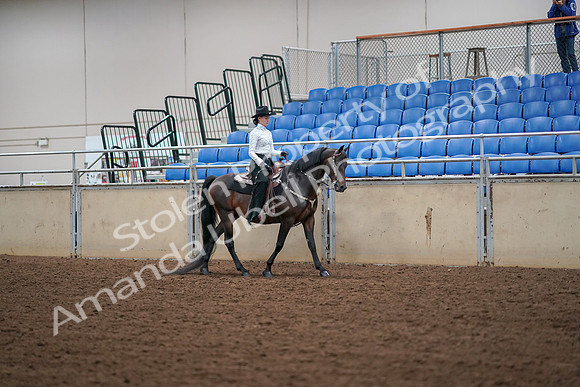 2019 Morgan Horse Show - Aug 30, 2019 - 17073