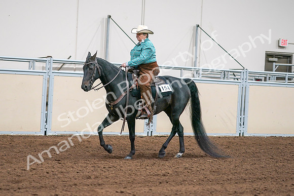 2020 - AB Morgan Horse - Sun, Sept 06 - 01579
