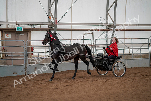 July 20, 2019 - 00303