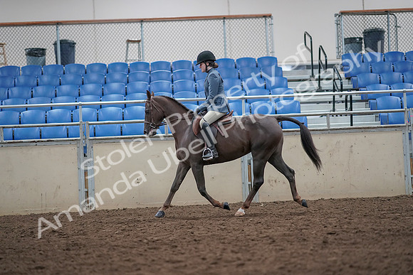 2019 Morgan Horse Show - Aug 31, 2019 - 16628