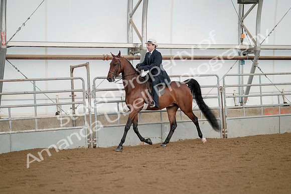 July 21, 2019 - 01646