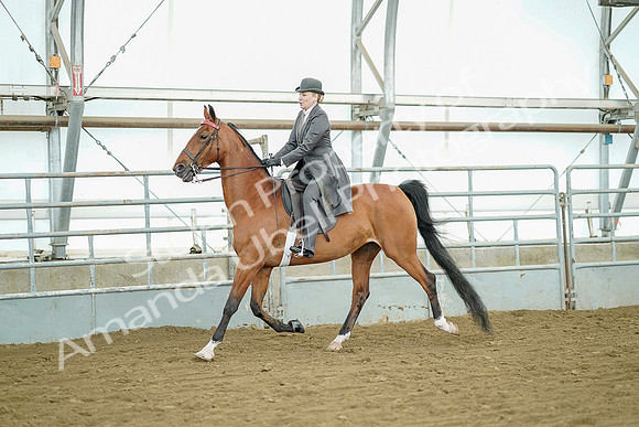 July 20, 2019 - 07804