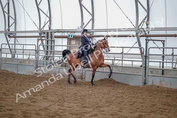 July 20, 2019 - 14004