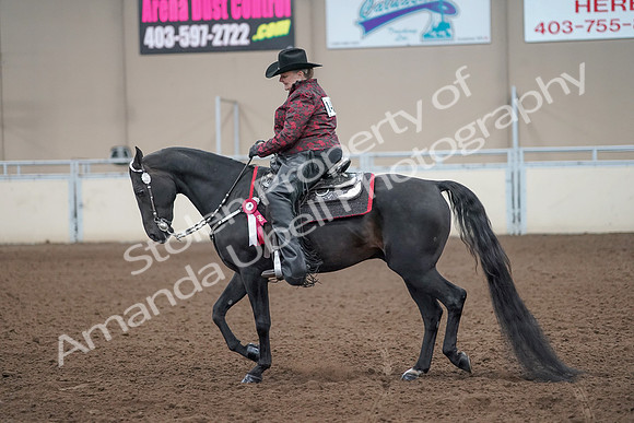 2019 Morgan Horse Show - Aug 31, 2019 - 10825