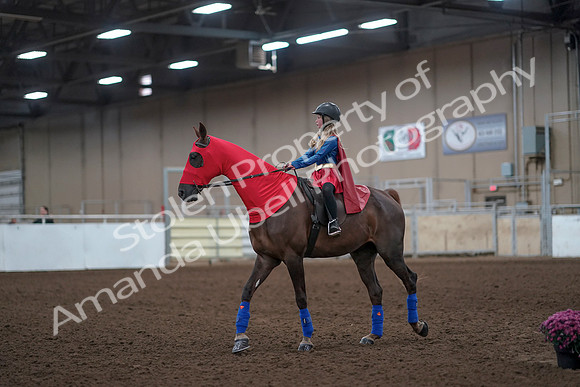 2019 Morgan Horse Show - Aug 31, 2019 - 10069