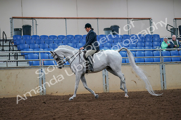 2019 Morgan Horse Show - Aug 30, 2019 - 17412
