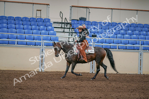 2020 - AB Morgan Horse - Sun, Sept 06 - 01612